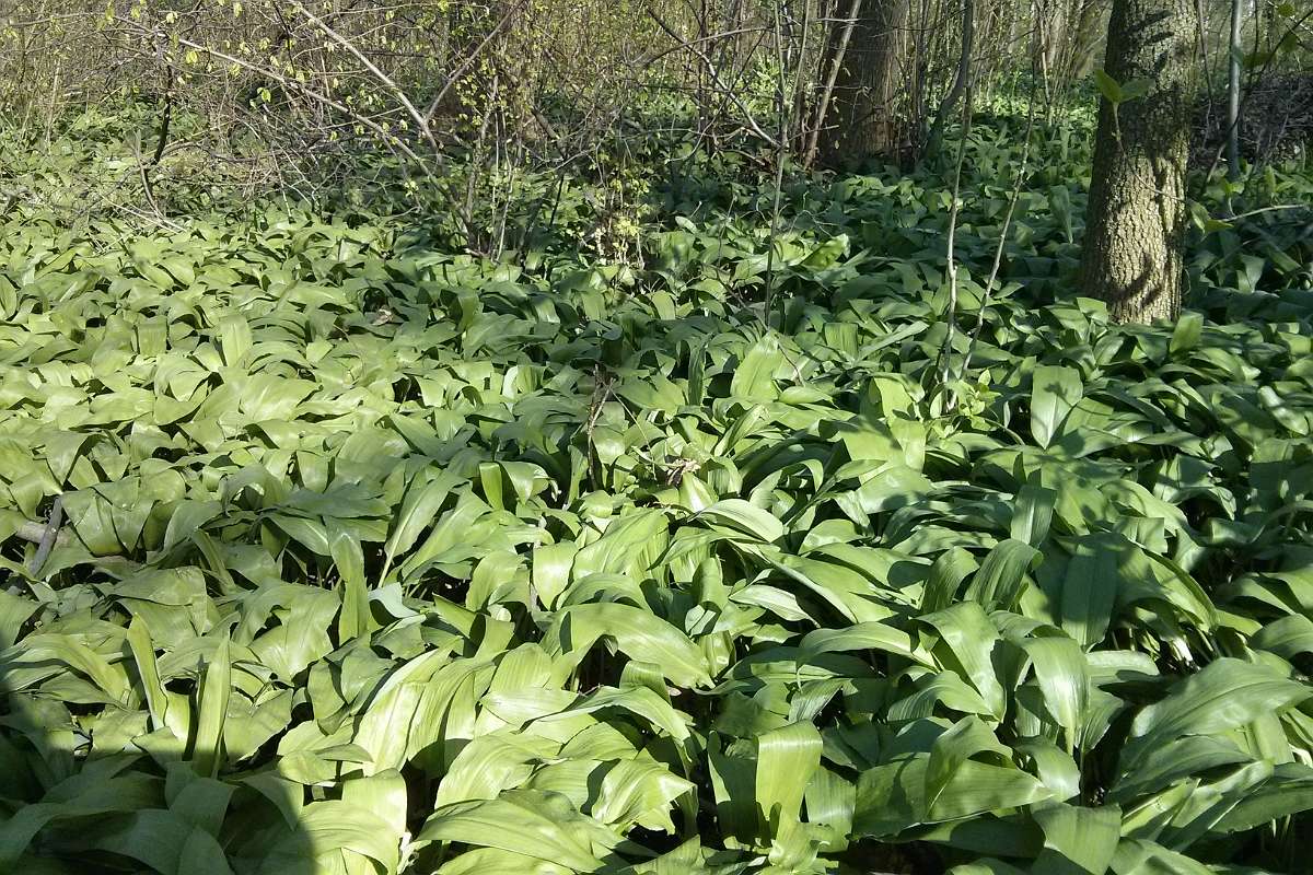 2014-03-30 16-01-43.JPG